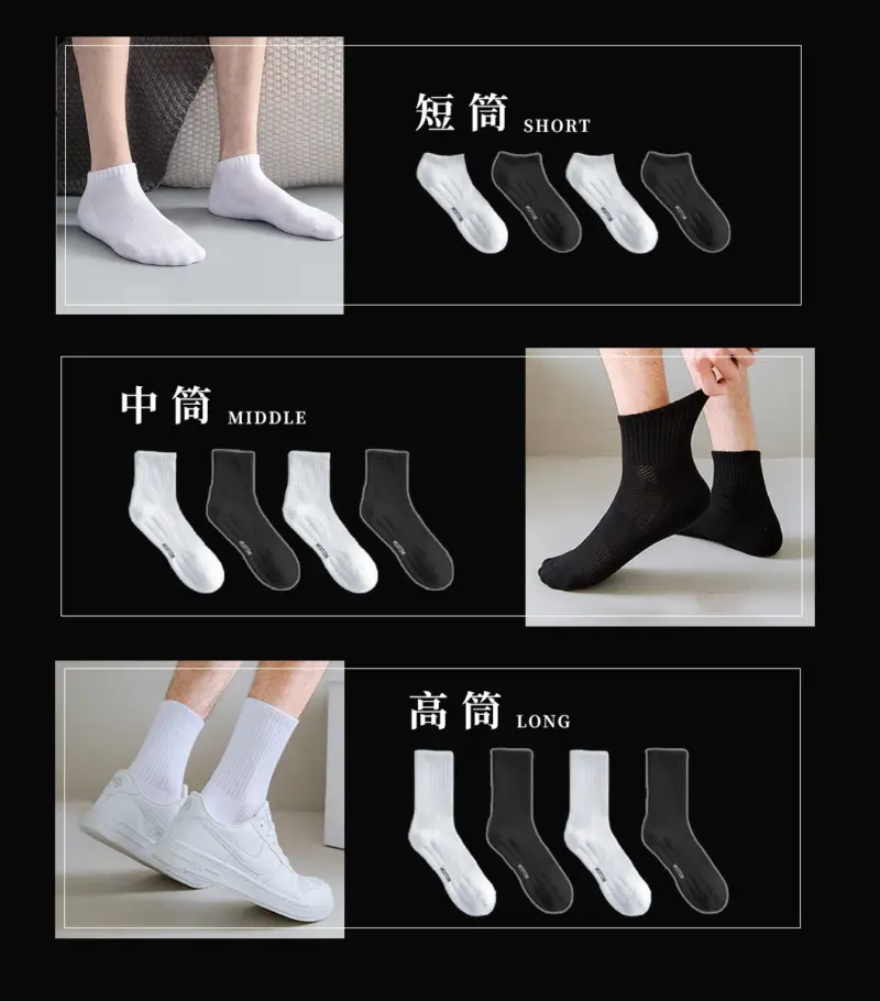 set-02